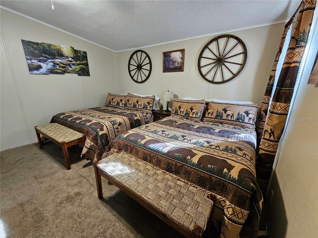 10605 2nd Street Thonotosassa FL 33592 TB8425307 image16