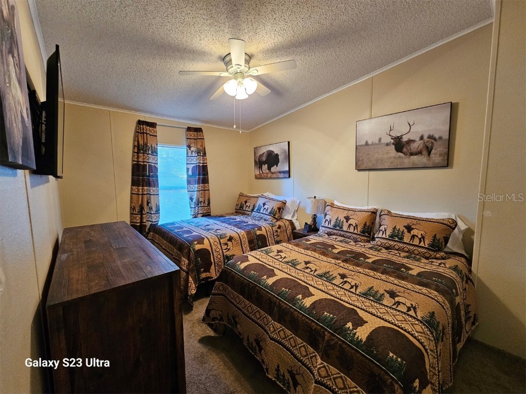 10605 2nd Street Thonotosassa FL 33592 TB8425307 image19