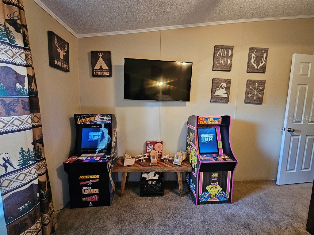 10605 2nd Street Thonotosassa FL 33592 TB8425307 image22