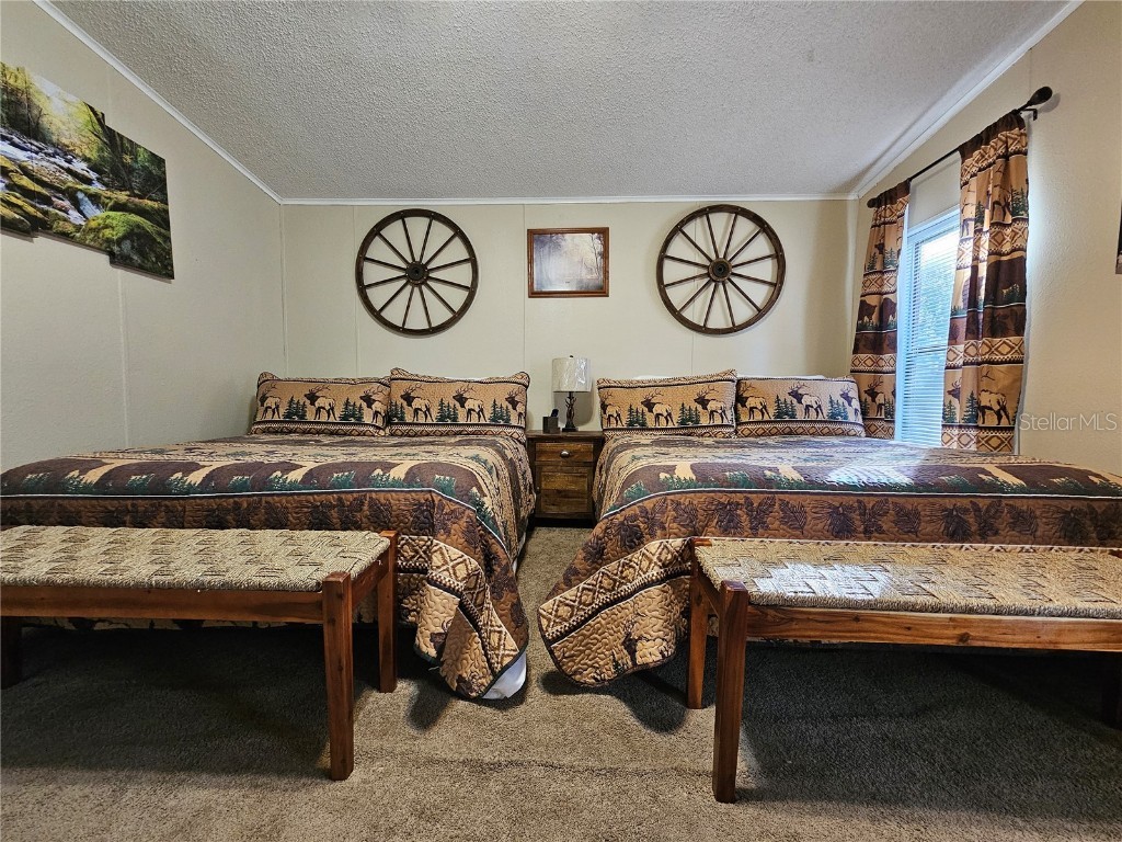 10605 2nd Street Thonotosassa FL 33592 TB8425348 image15