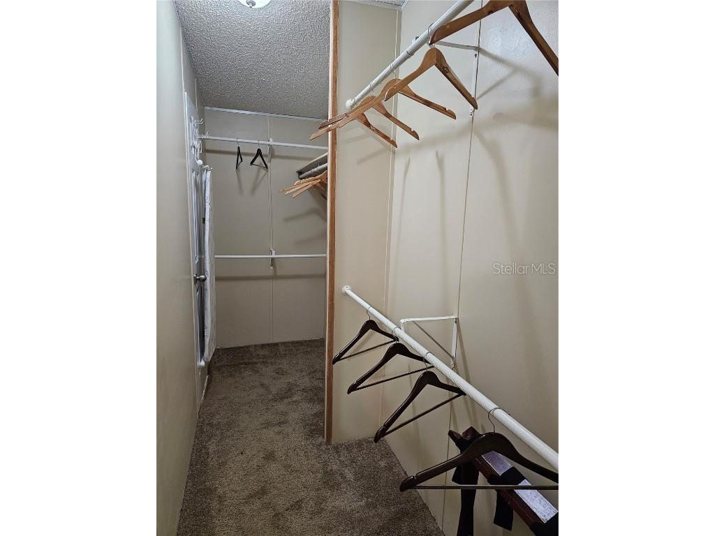 10605 2nd Street Thonotosassa FL 33592 TB8425348 image16