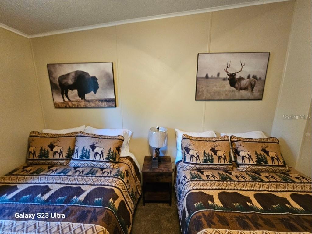 10605 2nd Street Thonotosassa FL 33592 TB8425348 image19