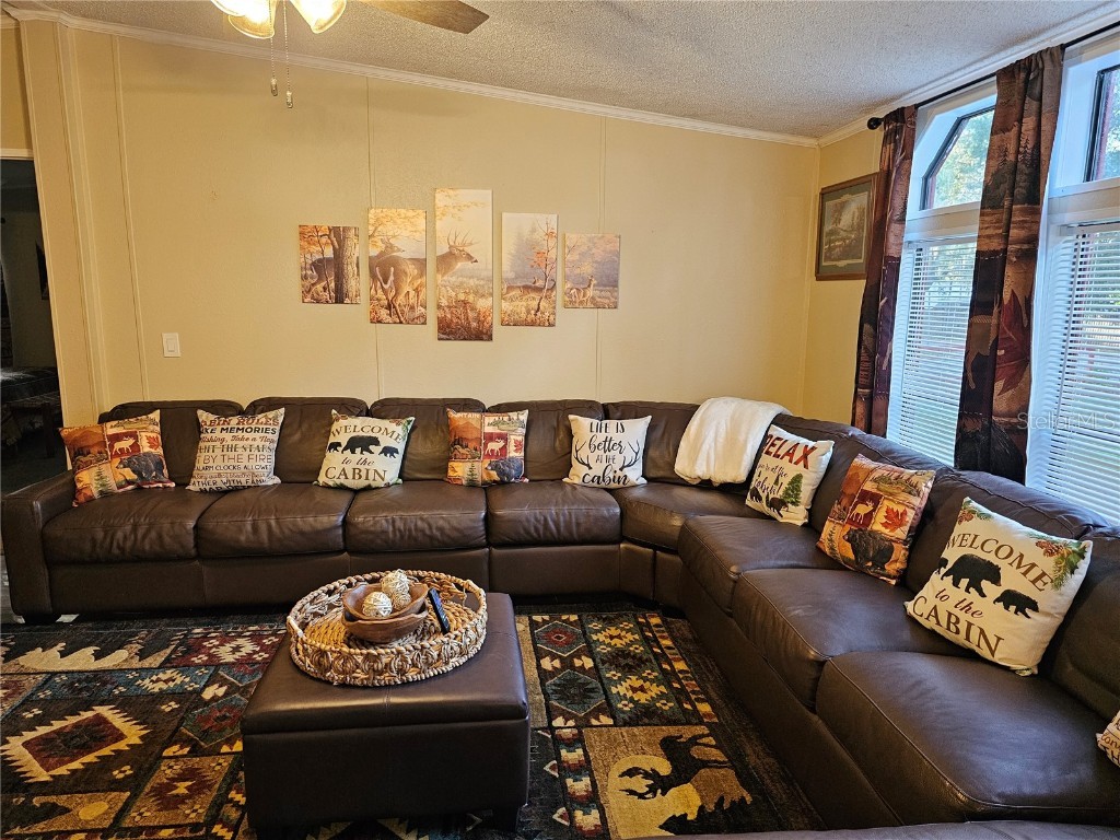 10605 2nd Street Thonotosassa FL 33592 TB8425348 image5