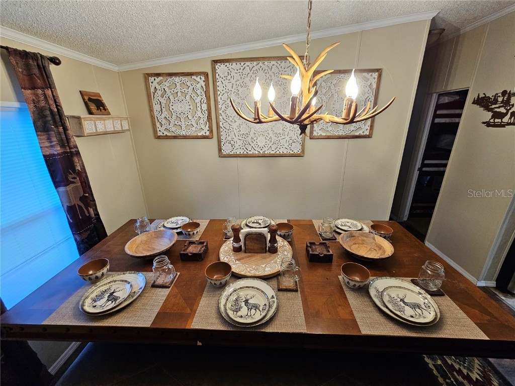 10605 2nd Street Thonotosassa FL 33592 TB8425348 image8