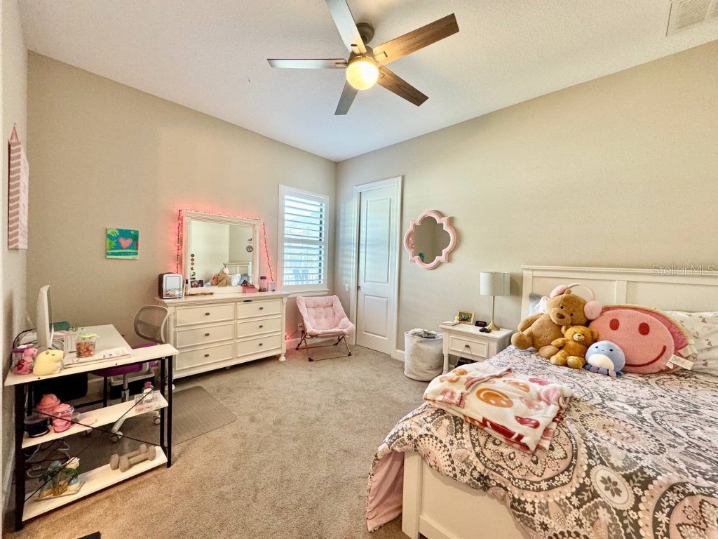 10605 Sabella Drive Trinity FL 34655 TB8451569 image30