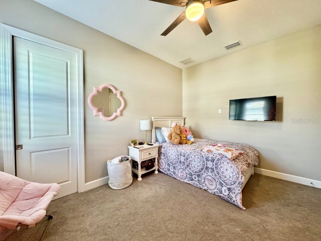 10605 Sabella Drive Trinity FL 34655 TB8451569 image31