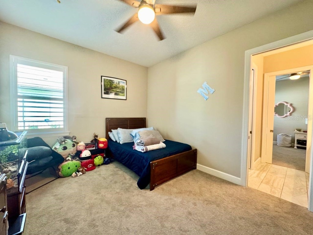 10605 Sabella Drive Trinity FL 34655 TB8451569 image37