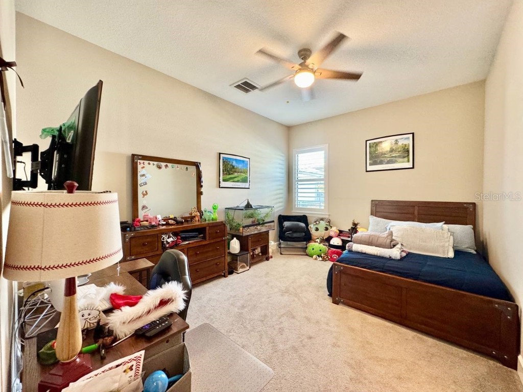 10605 Sabella Drive Trinity FL 34655 TB8451569 image38