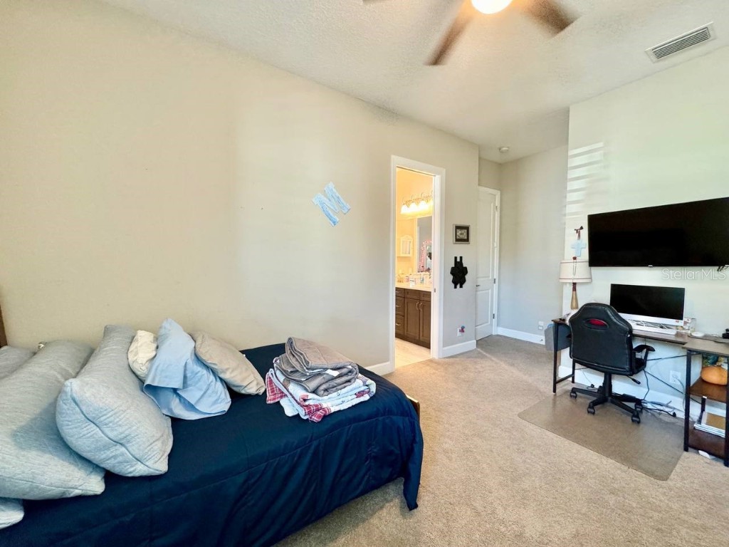 10605 Sabella Drive Trinity FL 34655 TB8451569 image39