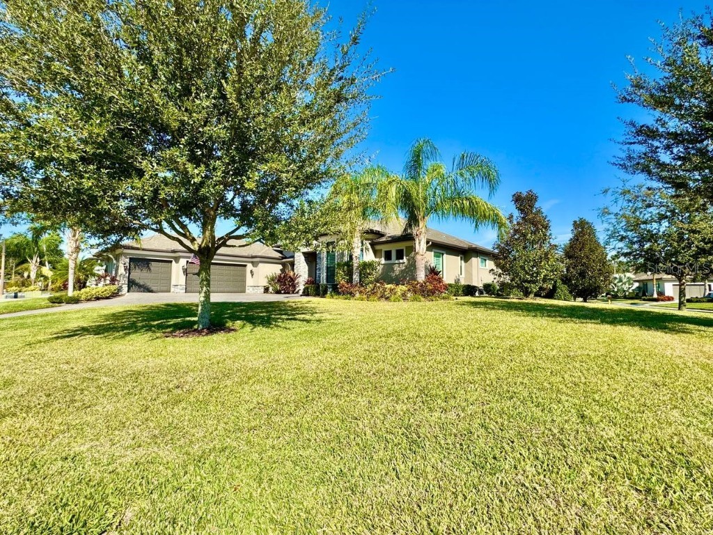 10605 Sabella Drive Trinity FL 34655 TB8451569 image4