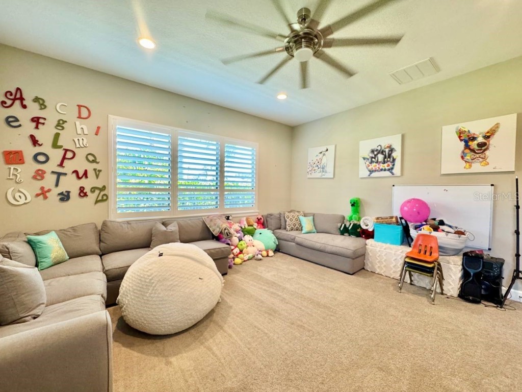 10605 Sabella Drive Trinity FL 34655 TB8451569 image41