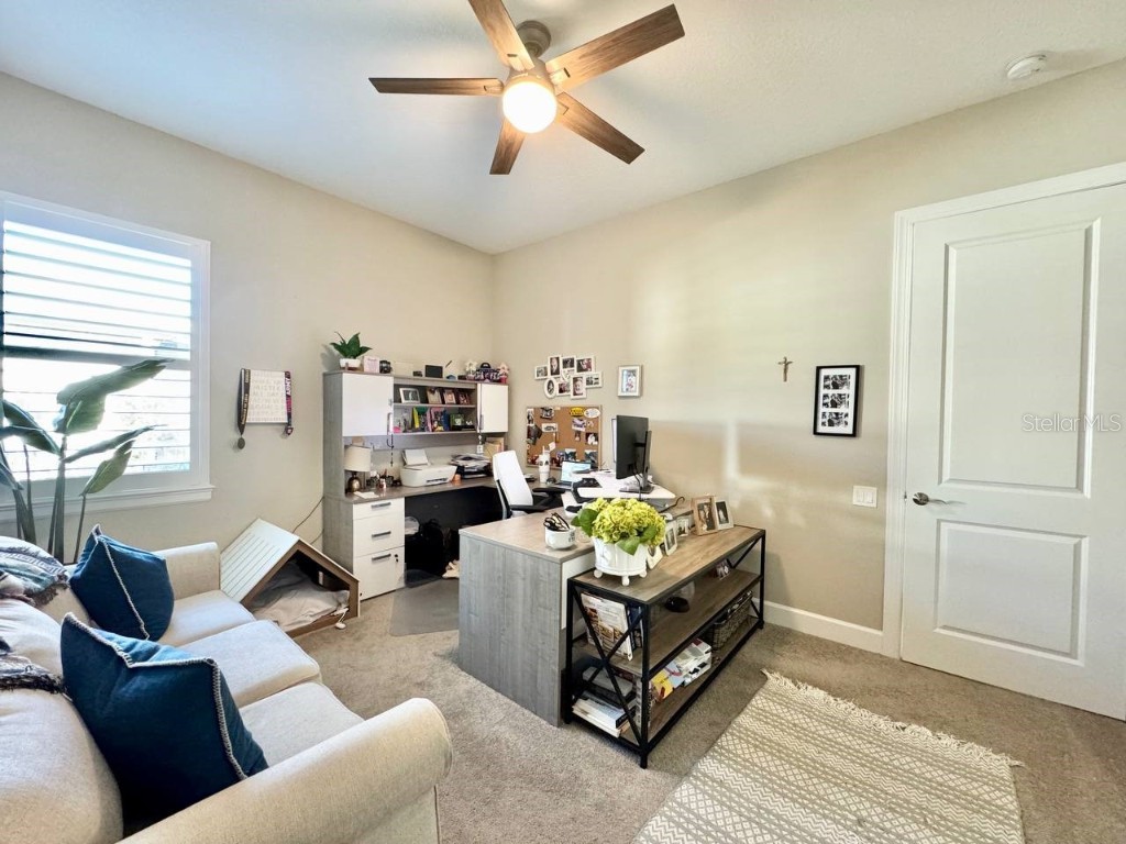 10605 Sabella Drive Trinity FL 34655 TB8451569 image45