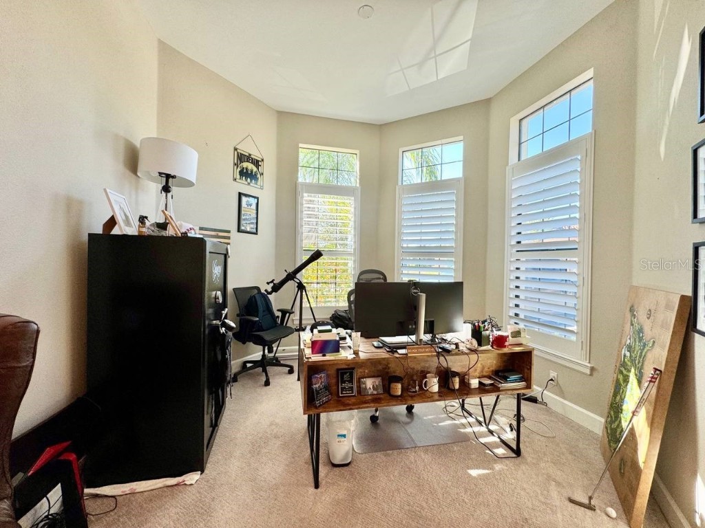 10605 Sabella Drive Trinity FL 34655 TB8451569 image49