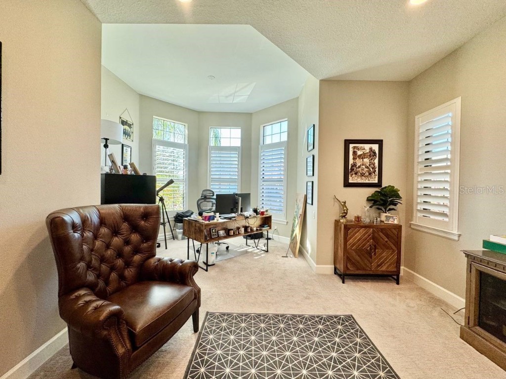 10605 Sabella Drive Trinity FL 34655 TB8451569 image50