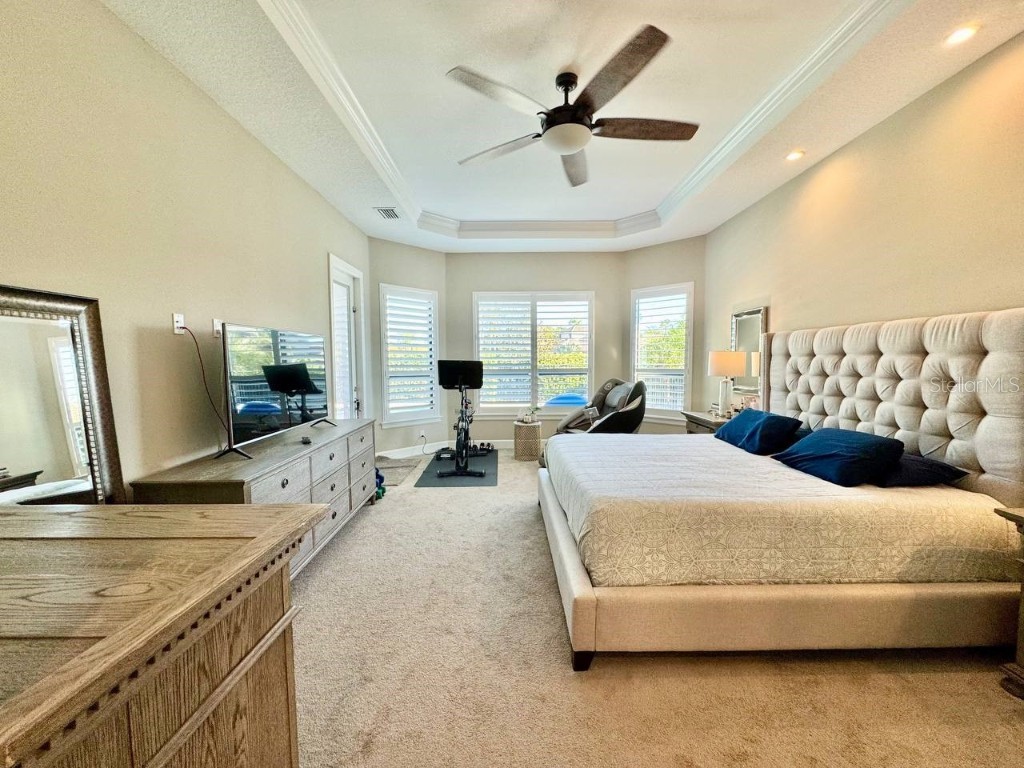 10605 Sabella Drive Trinity FL 34655 TB8451569 image52