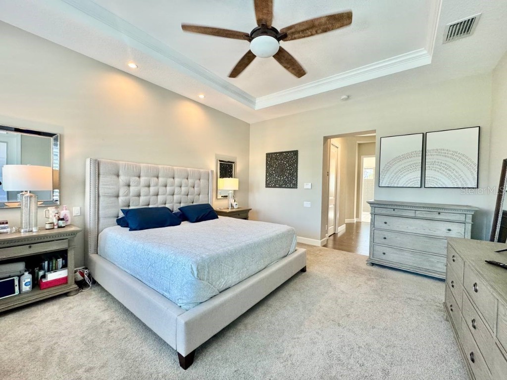 10605 Sabella Drive Trinity FL 34655 TB8451569 image53