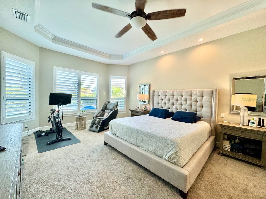 10605 Sabella Drive Trinity FL 34655 TB8451569 image54