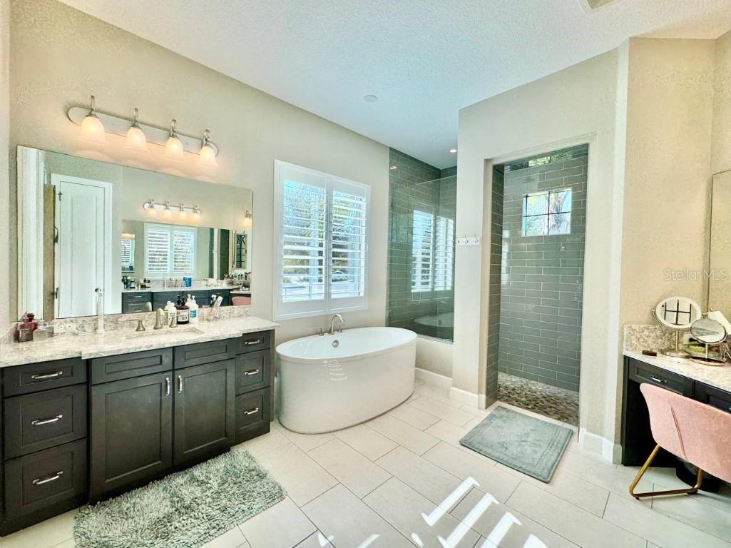 10605 Sabella Drive Trinity FL 34655 TB8451569 image60