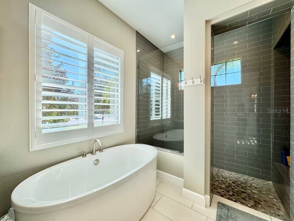 10605 Sabella Drive Trinity FL 34655 TB8451569 image61