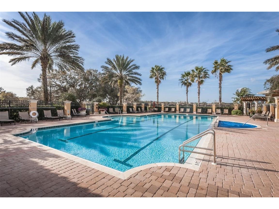 10605 Sabella Drive Trinity FL 34655 TB8451569 image79