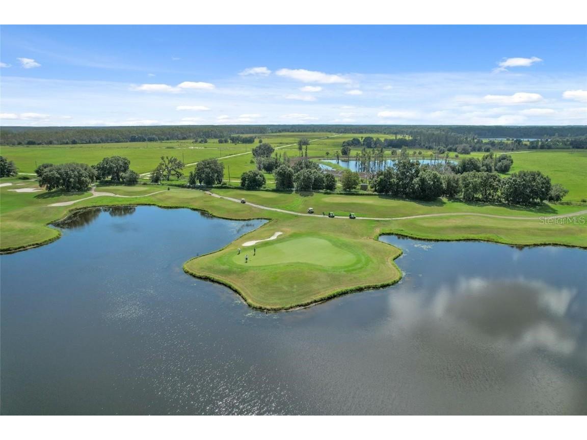 10605 Sabella Drive Trinity FL 34655 TB8451569 image84