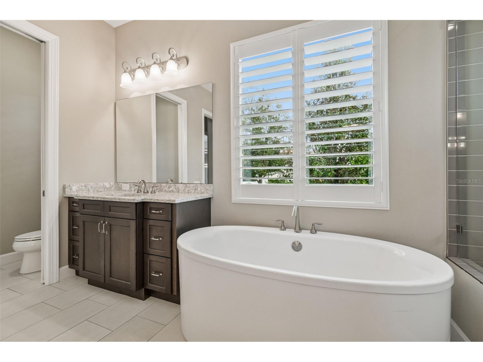 10605 Sabella Drive Trinity FL 34655 TB8460322 image28