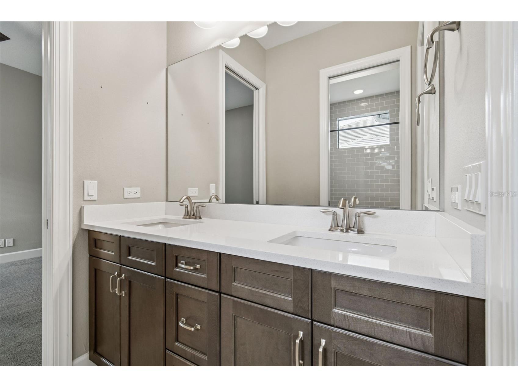 10605 Sabella Drive Trinity FL 34655 TB8460322 image39