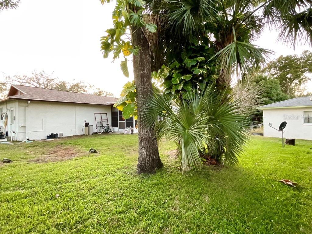 10605 Timber Lane Port Richey FL 34668 TB8445890 image11