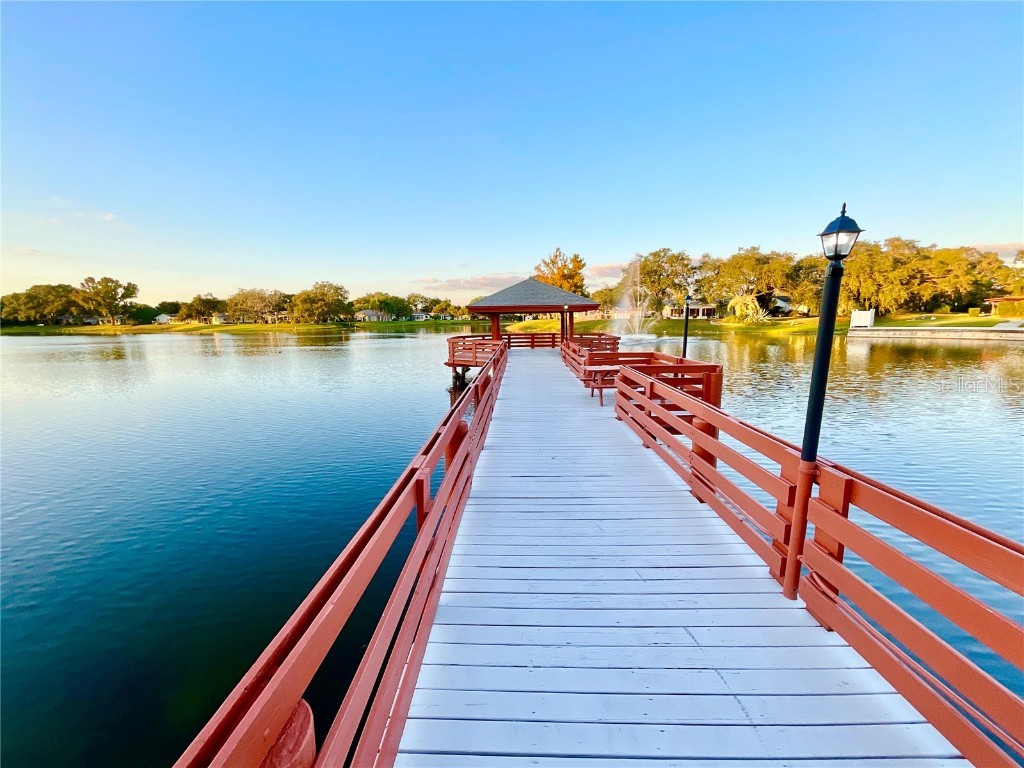 10605 Timber Lane Port Richey FL 34668 TB8445890 image16