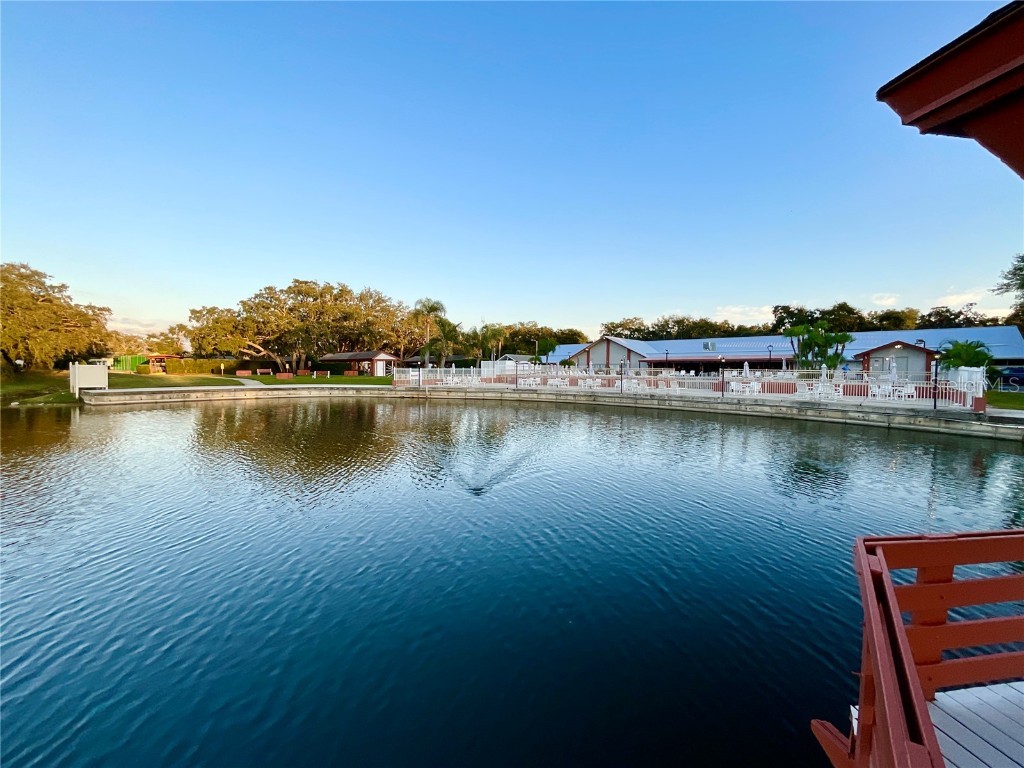 10605 Timber Lane Port Richey FL 34668 TB8445890 image18