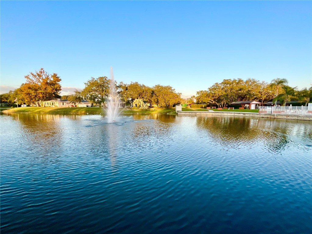 10605 Timber Lane Port Richey FL 34668 TB8445890 image19