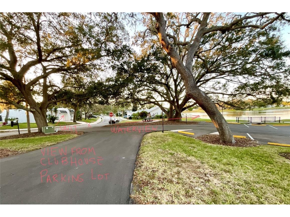 10605 Timber Lane Port Richey FL 34668 TB8445890 image27