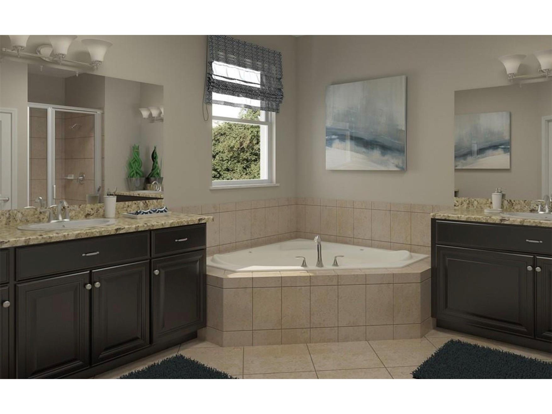 10606 Bahama Woodstar Court Riverview FL 33579 TB8487646 image5