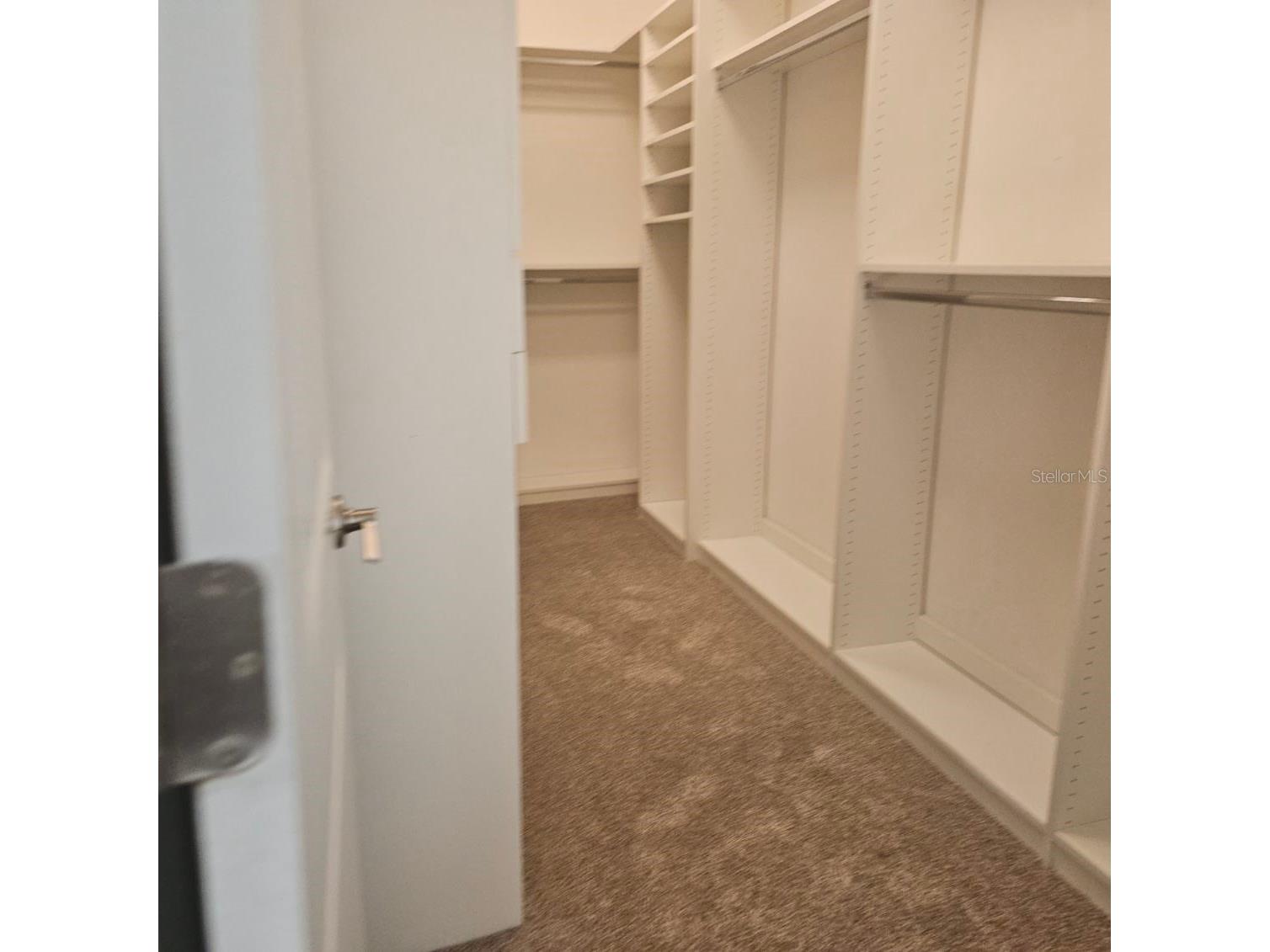 10606 Bahama Woodstar Court Riverview FL 33579 TB8487646 image7