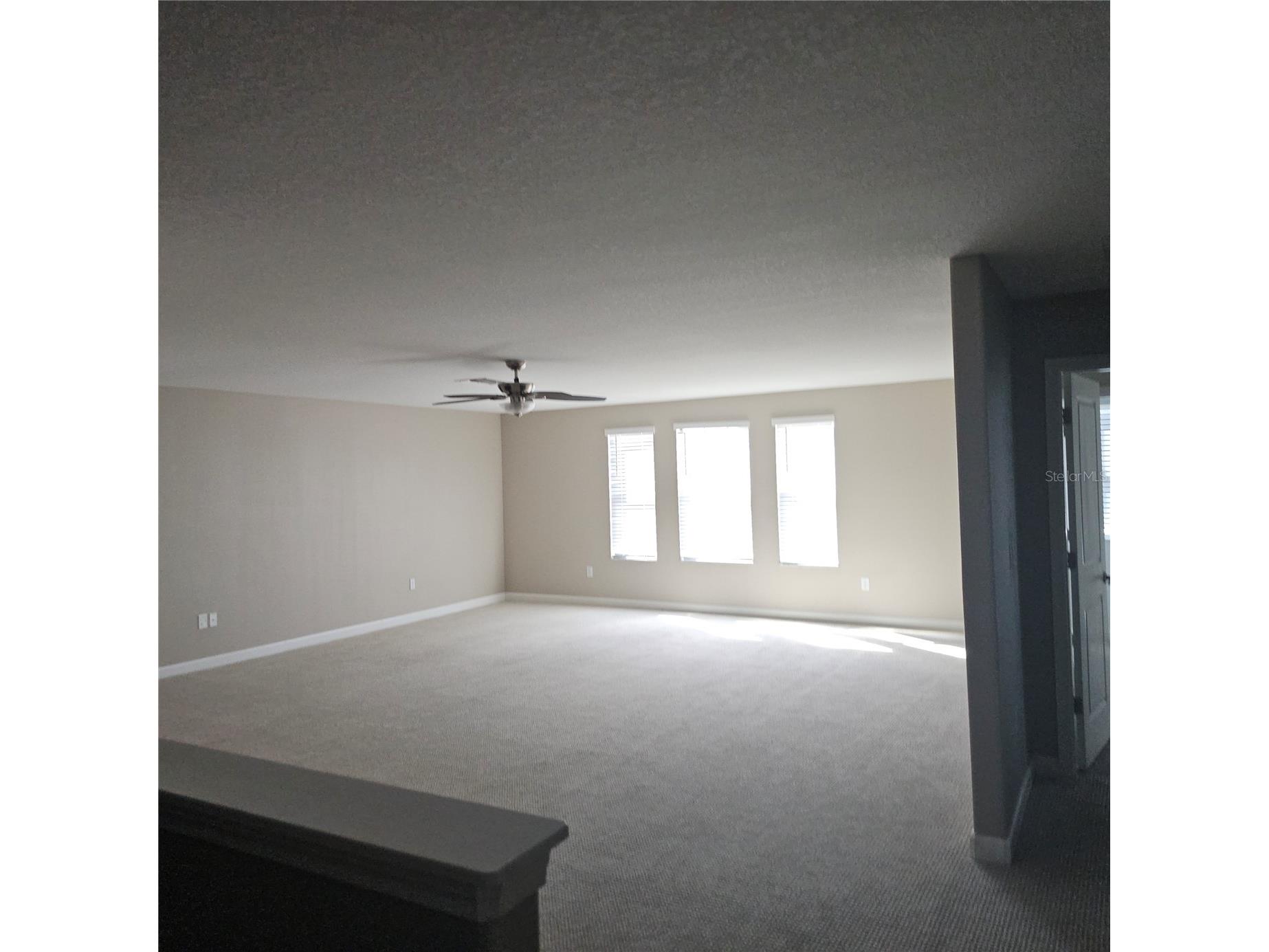 10606 Bahama Woodstar Court Riverview FL 33579 TB8487646 image9