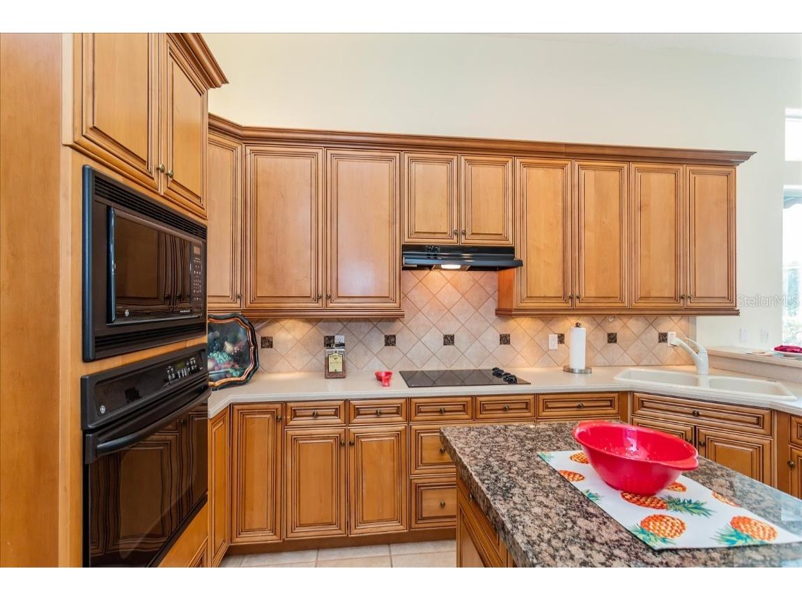 10606 Boca Point Drive Orlando FL 32836 O6347518 image18