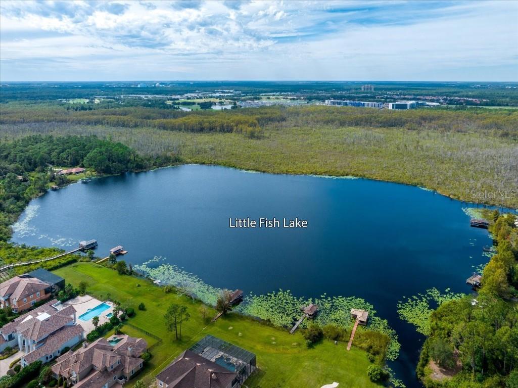 10606 Boca Point Drive Orlando FL 32836 O6347518 image4