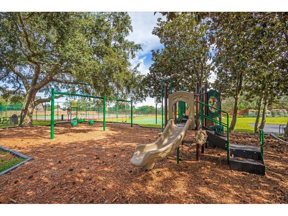 10606 Boca Point Drive Orlando FL 32836 O6347518 image7