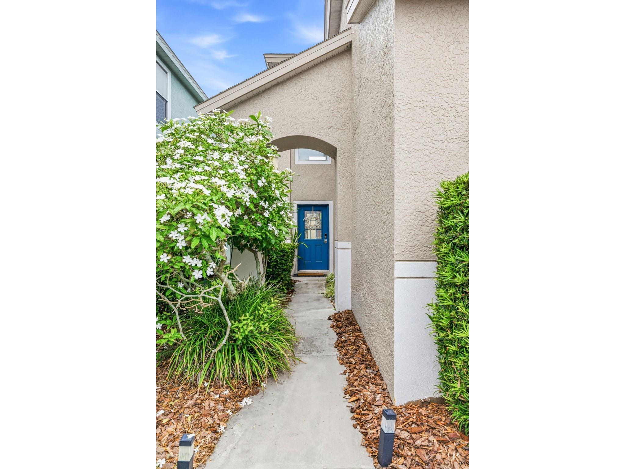 10606 Drayton Court Tampa FL 33626 TB8515946 image3