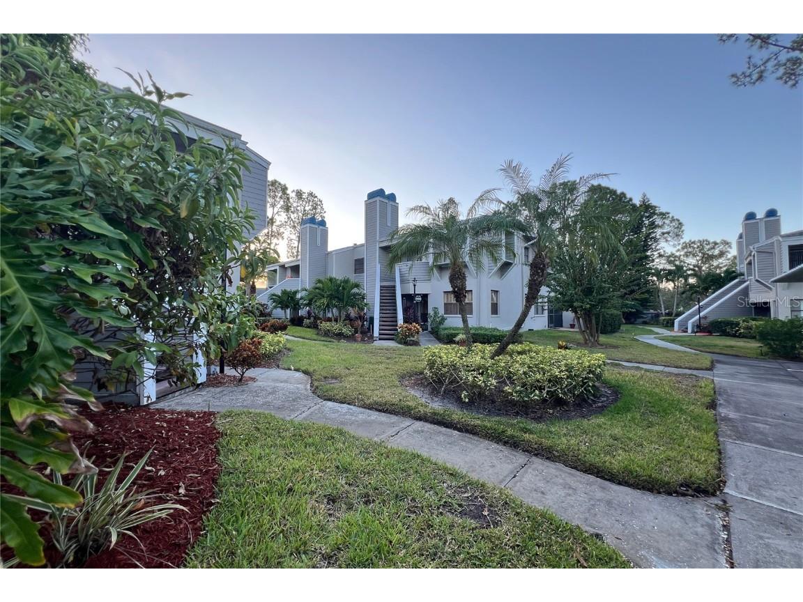 10606 Longwood Drive #203B Seminole FL 33777 TB8443711 image20