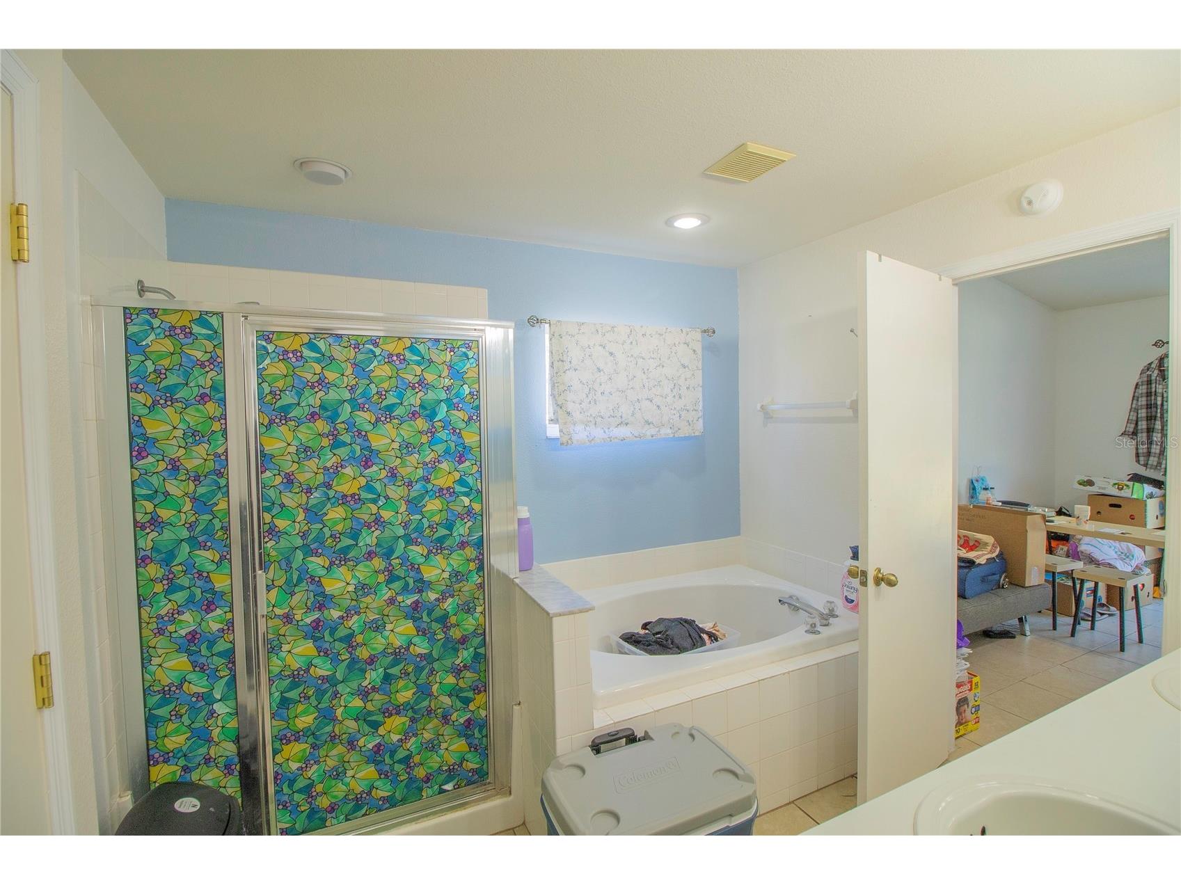 10606 Walker Vista Drive Riverview FL 33578 TB8459707 image10