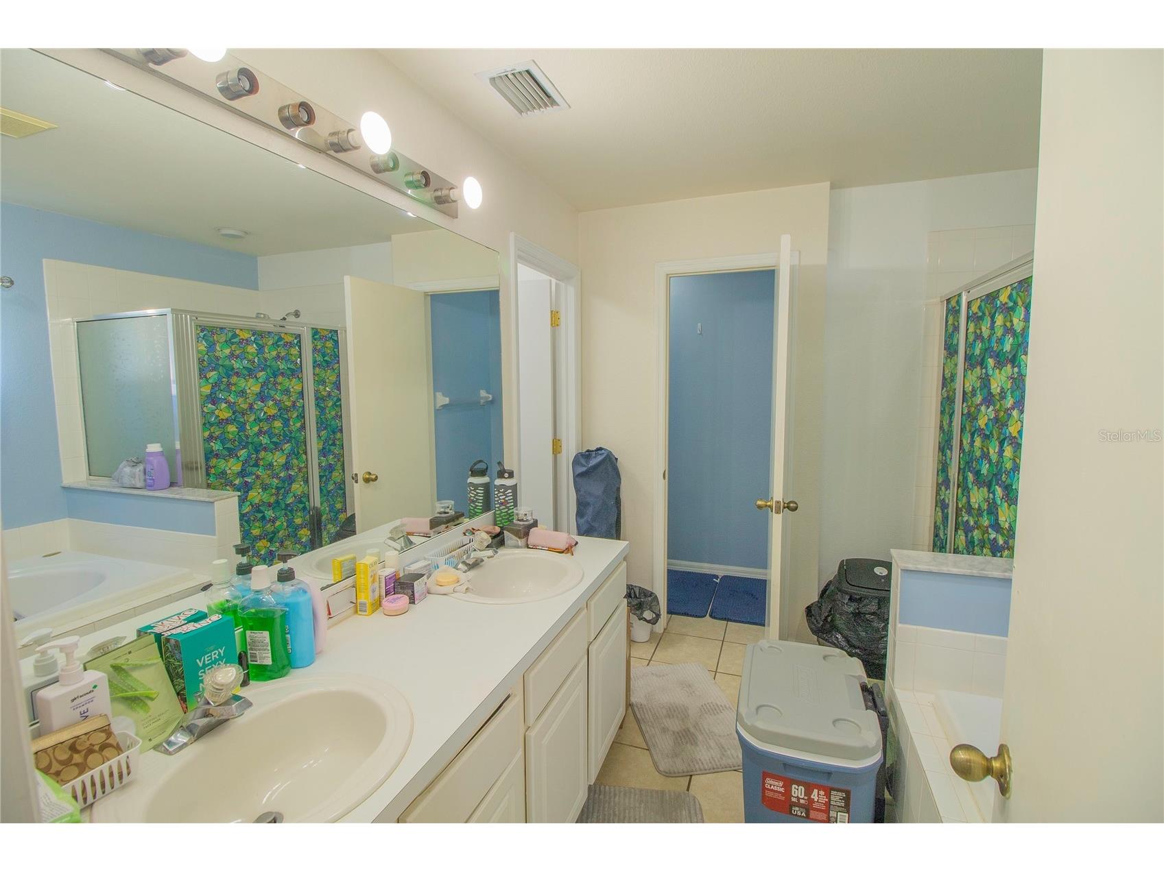 10606 Walker Vista Drive Riverview FL 33578 TB8459707 image11