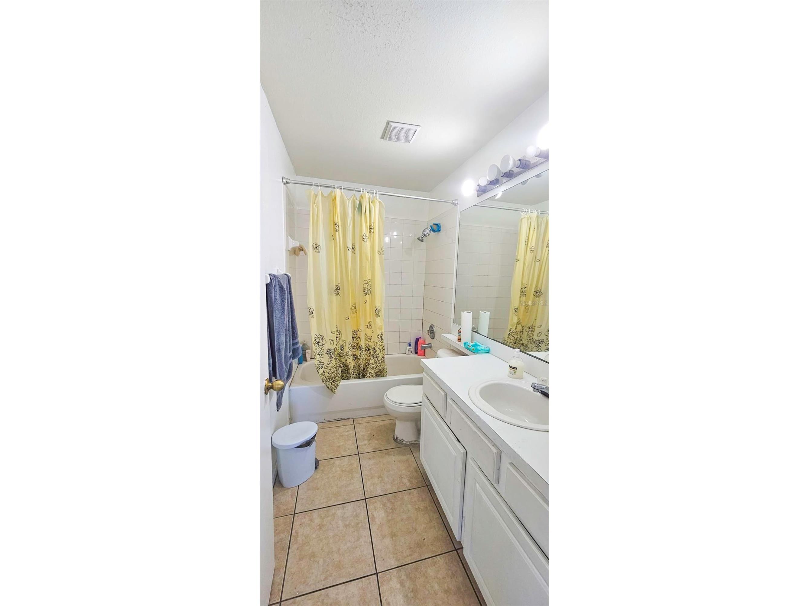 10606 Walker Vista Drive Riverview FL 33578 TB8459707 image16