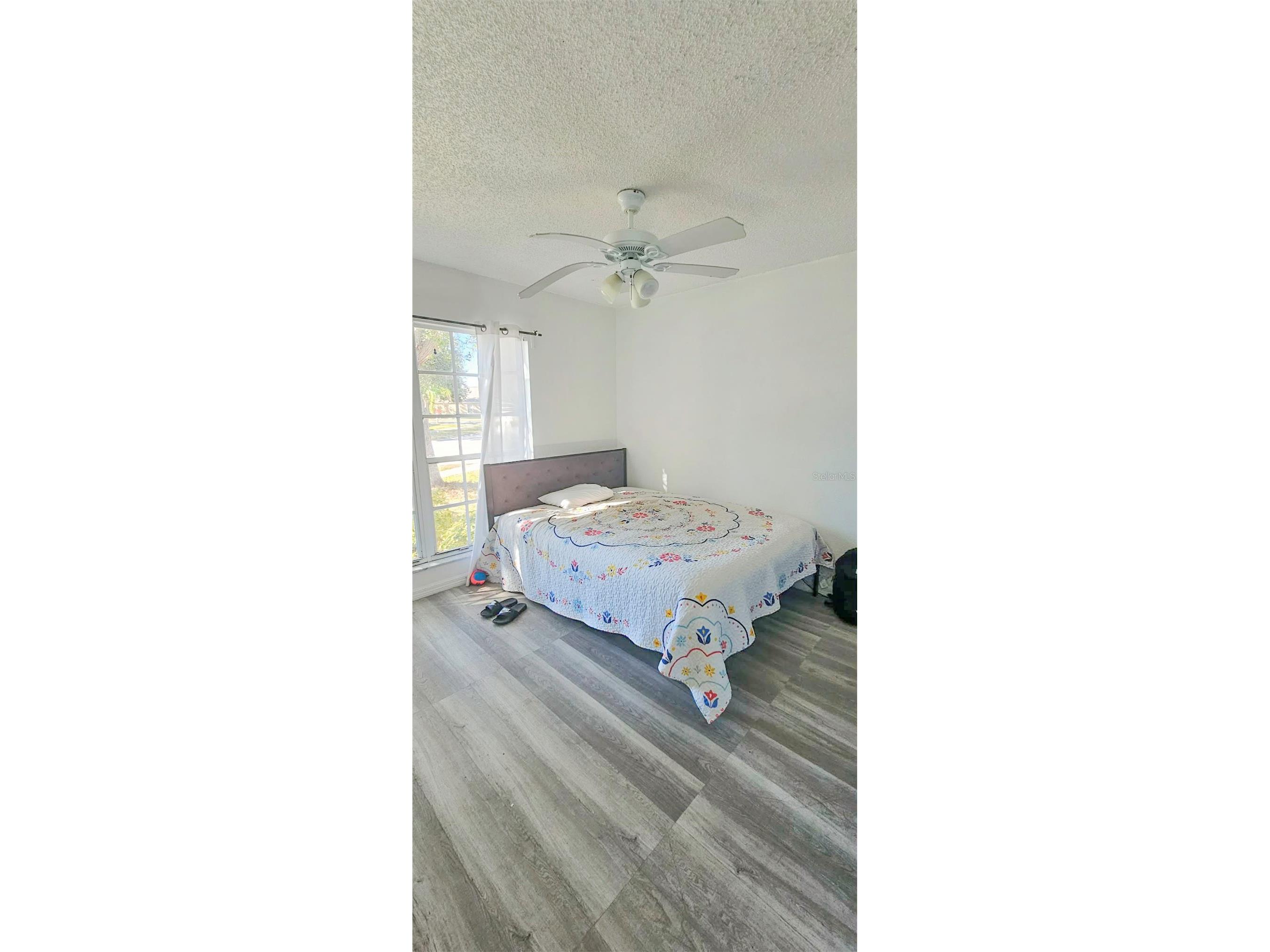 10606 Walker Vista Drive Riverview FL 33578 TB8459707 image17