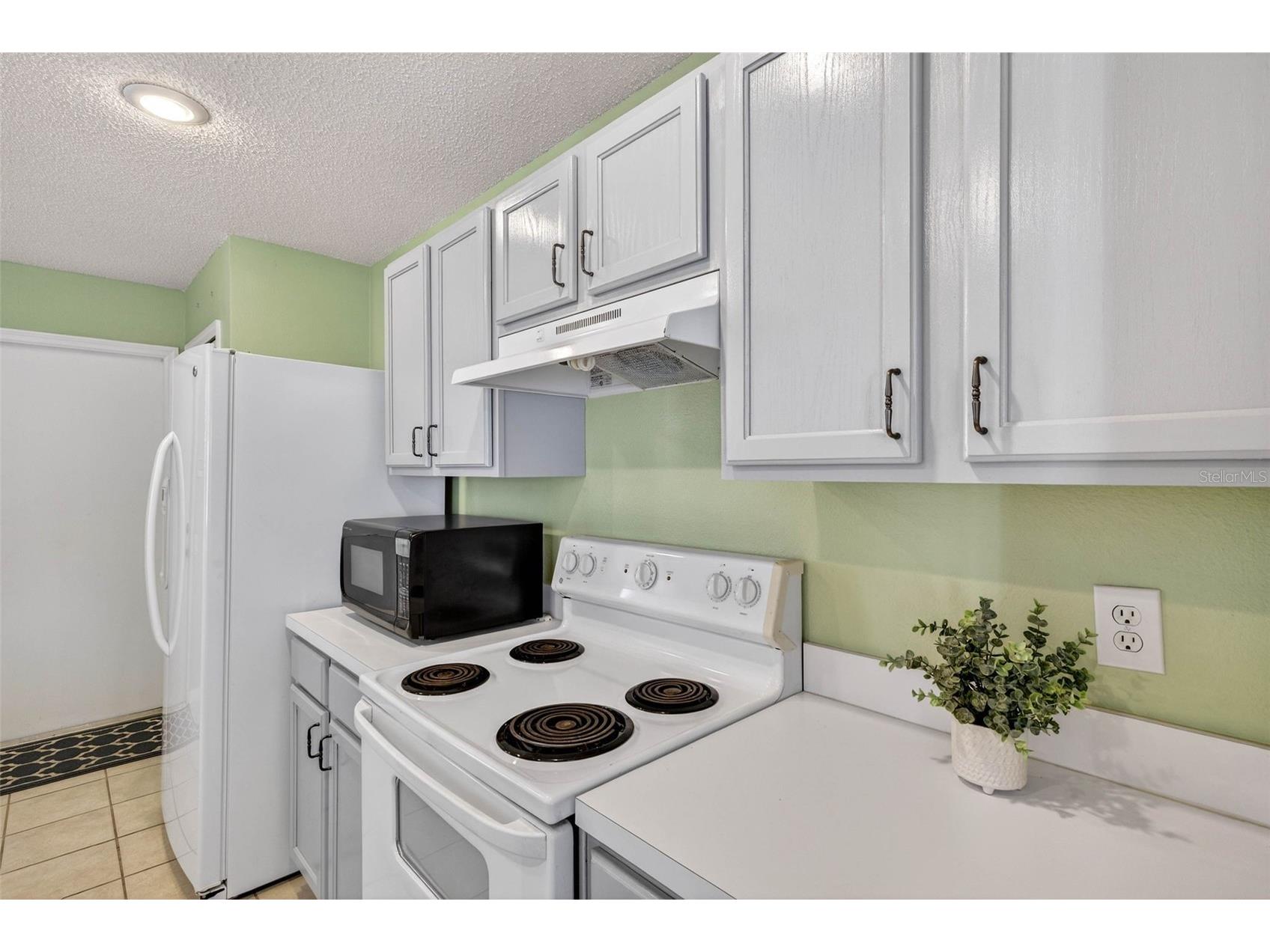 10607 Cami Court Riverview FL 33578 TB8494371 image21