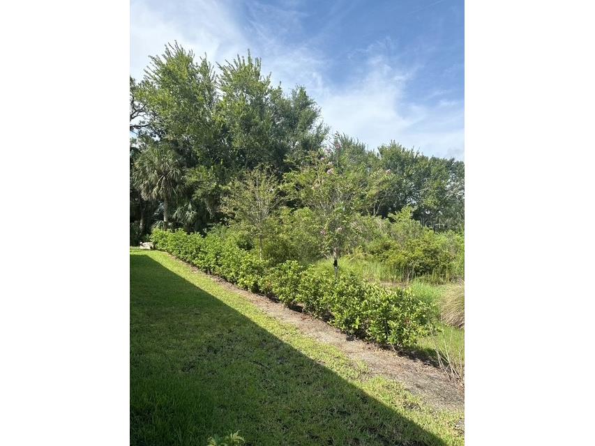 10607 Ladybug Cove Parrish FL 34219 TB8386992 image10