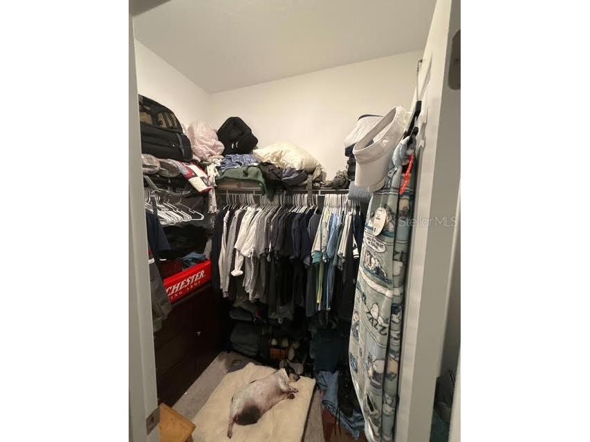 10607 Ladybug Cove Parrish FL 34219 TB8386992 image15