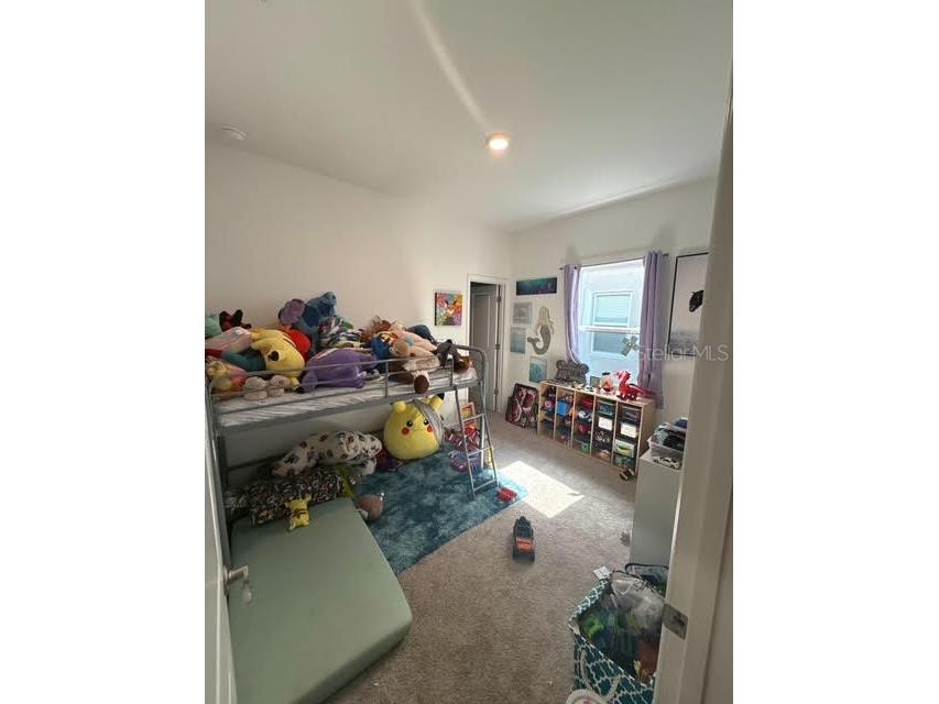 10607 Ladybug Cove Parrish FL 34219 TB8386992 image16