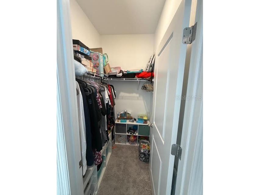 10607 Ladybug Cove Parrish FL 34219 TB8386992 image17