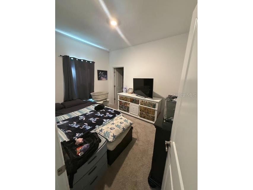 10607 Ladybug Cove Parrish FL 34219 TB8386992 image18